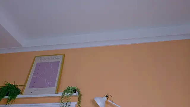 ParisFox  online show from 21, 2, 2026