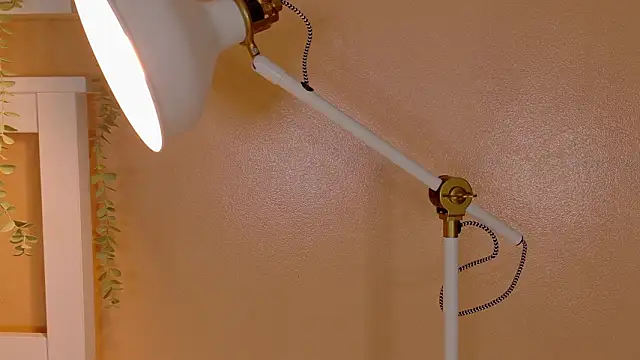 ParisFox  online show from 8, 3, 2026