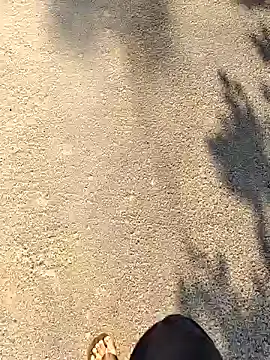 Snapshot of Ishan003 chatting on 19, 9, 2025 Ishan003 online show from 19, 9, 2025