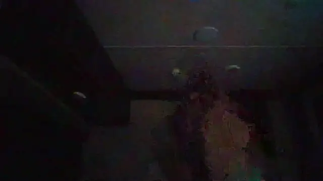 Snapshot of Cobra500hp chatting on 11, 2, 2026 Cobra500hp online show from 11, 2, 2026