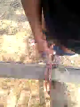 Snapshot of pusseylover1 chatting on 22, 12, 2024 pusseylover1 online show from 22, 12, 2024