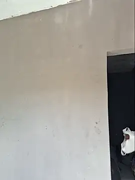 luuhcat09 online show from 25, 11, 2025