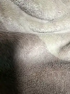 AssamSilchar93 online show from 20, 1, 2025