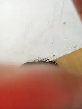 ambarlennoix online show from 12, 1, 2025