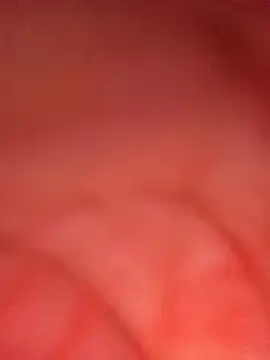 ambarlennoix online show from 9, 10, 2025