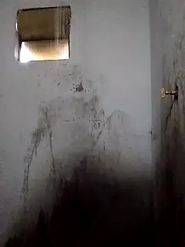 Percybr4561 online show from 1, 11, 2025