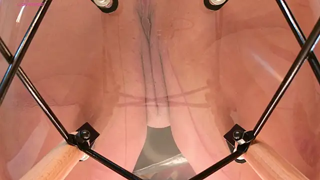 Alexa Miss online show from 27, 9, 2025