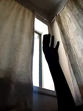 Cocowett online show from 10, 10, 2025