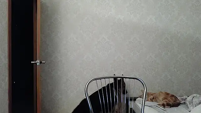 Kashtanka  online show from 10, 12, 2024
