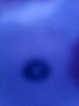 Mia ross16 online show from 9, 3, 2025