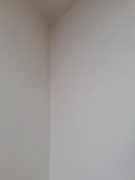 Snapshot of D_vid99 chatting on 12, 11, 2025 D vid99 online show from 12, 11, 2025