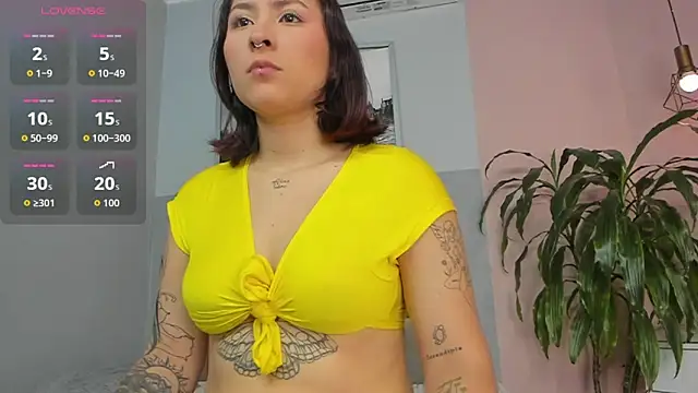 dyvis 22 online show from 19, 3, 2026