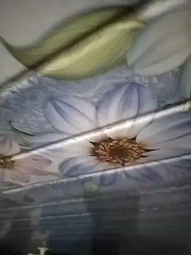 Snapshot of kunalmishra2003 chatting on 20, 11, 2025 kunalmishra2003 online show from 20, 11, 2025