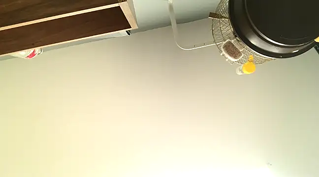 Snapshot of themany29 chatting on 27, 1, 2025 themany29 online show from 27, 1, 2025