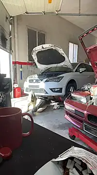 Snapshot of donnuozfutura chatting on 13, 2, 2025 donnuozfutura online show from 13, 2, 2025