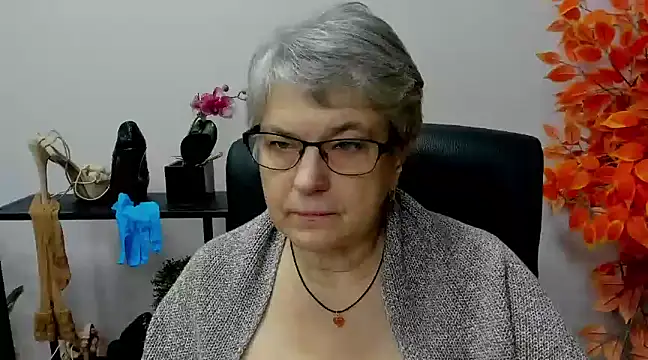 Snapshot of IrisDream chatting on 9, 12, 2024 IrisDream online show from 9, 12, 2024