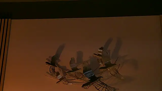 AngeliqueSkye online show from 17, 10, 2025