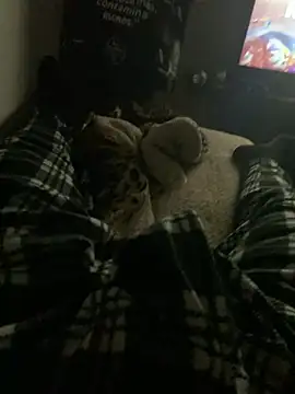 perrrotegrande online show from 13, 1, 2026