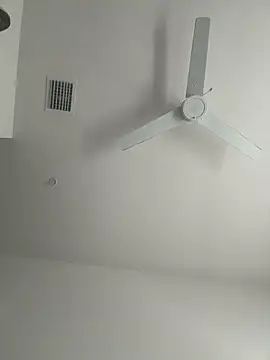 PointingPetrol online show from 14, 1, 2026