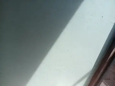 izinjamfee2 online show from 5, 10, 2025