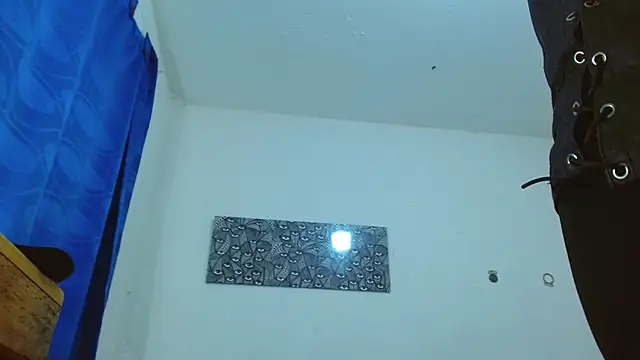 targuerian22 online show from 22, 12, 2024