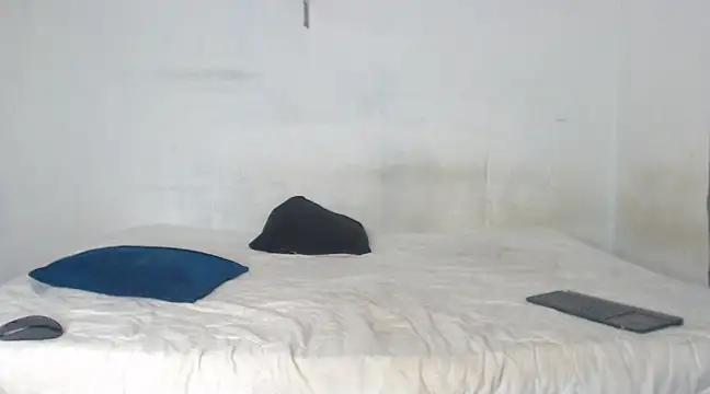 Snapshot of edwin_mosquera1 chatting on 21, 12, 2024 edwin mosquera1 online show from 21, 12, 2024