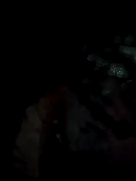 Snapshot of lit702 chatting on 6, 4, 2026 lit702 online show from 6, 4, 2026