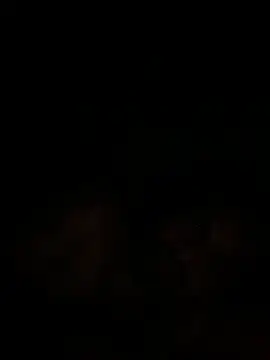 islandvybee55 online show from 18, 12, 2024