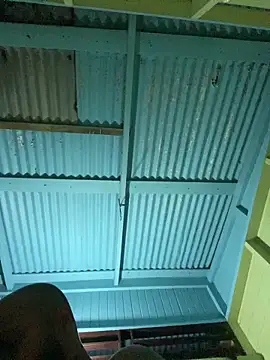 islandvybee55 online show from 8, 1, 2026