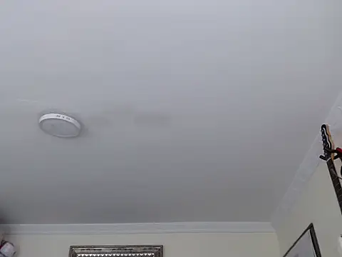 morbidangel08 online show from 9, 1, 2026