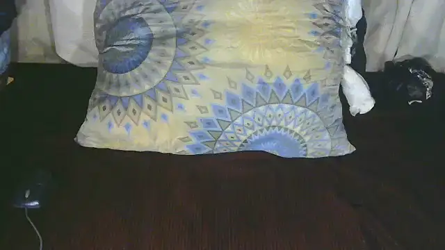 Snapshot of TransCya2024 chatting on 11, 10, 2025 TransCya2024 online show from 11, 10, 2025