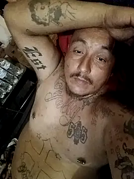 wilsons12 online show from 24, 9, 2025