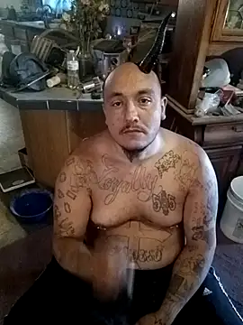 wilsons12 online show from 25, 10, 2025