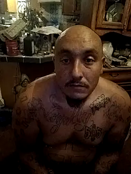 wilsons12 online show from 6, 11, 2025