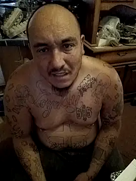 wilsons12 online show from 19, 11, 2025