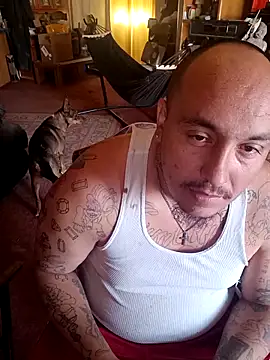 Snapshot of wilsons12 chatting on 13, 4, 2026 wilsons12 online show from 13, 4, 2026