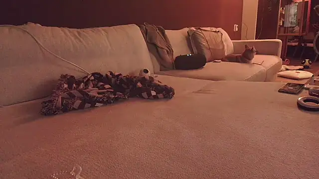 Nina24 online show from 16, 10, 2025