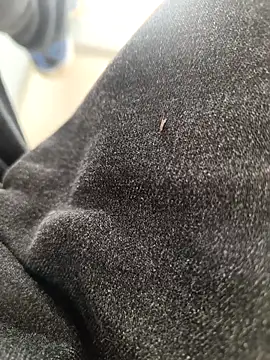 huzi518 online show from 3, 11, 2025