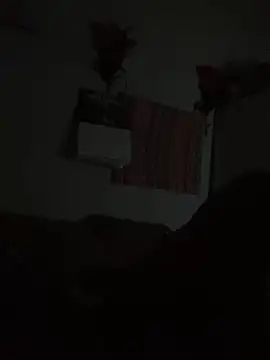 Snapshot of Johnras121 chatting on 23, 9, 2025 Johnras121 online show from 23, 9, 2025