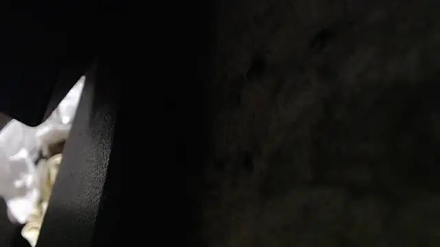 Snapshot of Hungry__Puppy chatting on 8, 11, 2025 Hungry Puppy online show from 8, 11, 2025