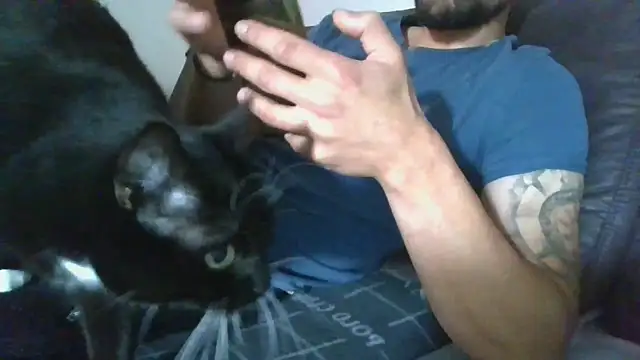 Kevoon991 online show from 20, 11, 2025