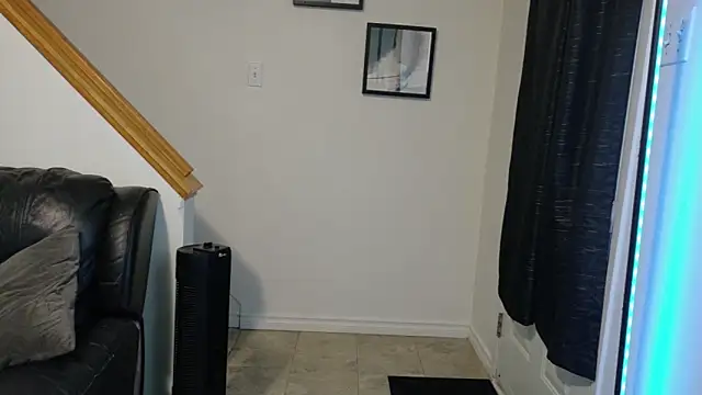 Thekodyy online show from 17, 11, 2025