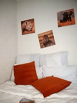 Shria107 online show from 8, 1, 2026