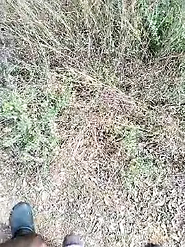 Mrveda66 online show from 23, 2, 2026