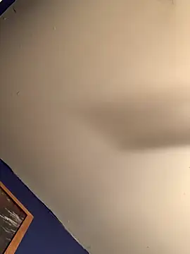 Snapshot of thiccplamp chatting on 27, 11, 2025 thiccplamp online show from 27, 11, 2025