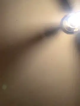 Snapshot of thiccplamp chatting on 29, 11, 2025 thiccplamp online show from 29, 11, 2025