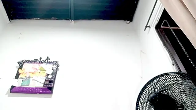 Snapshot of PetiteIvoryQueen19 chatting on 18, 11, 2025 PetiteIvoryQueen19 online show from 18, 11, 2025