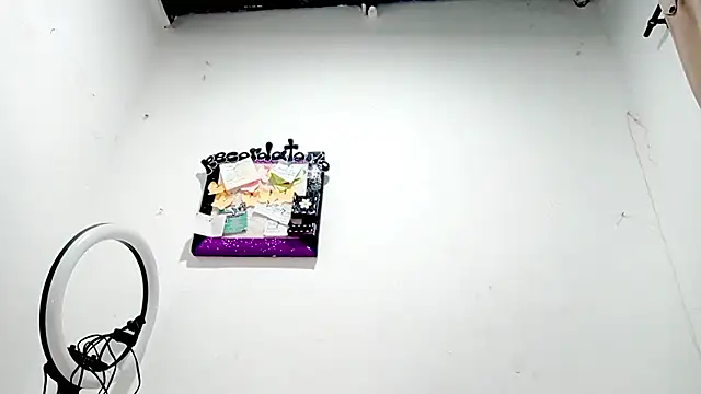 Snapshot of PetiteIvoryQueen19 chatting on 20, 12, 2025 PetiteIvoryQueen19 online show from 20, 12, 2025