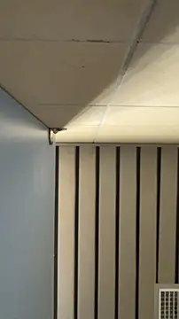 frnk30151 online show from 21, 9, 2025