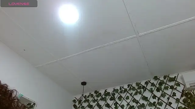 dannaberlin 0 online show from 30, 12, 2024